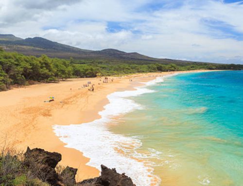 Our Favorite Maui Beaches